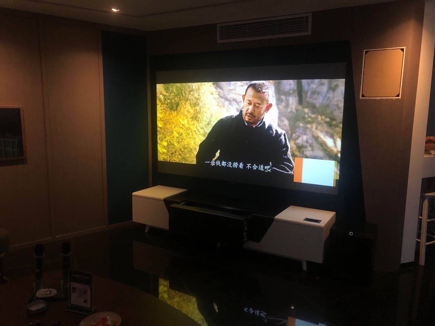 潮州隱形家庭影院