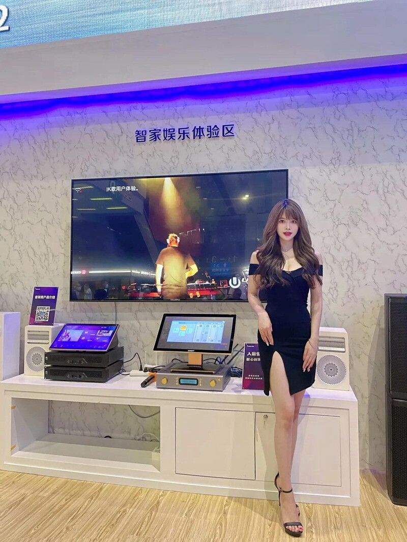 專業(yè)音響套裝