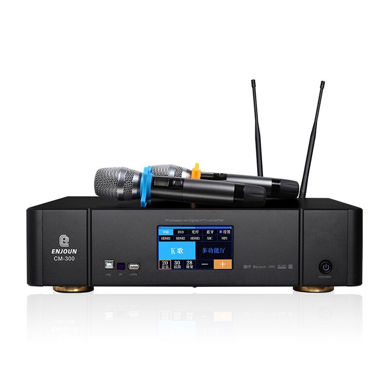 <b>專業(yè)K歌功放CM-300</b>
